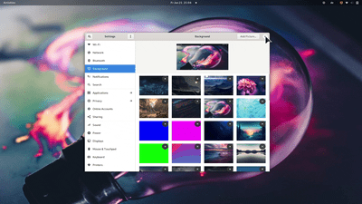 Image (Asset 15/31) alt=