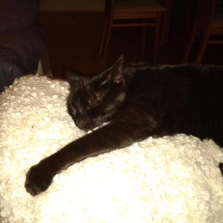 Image (Asset 1/7) alt=